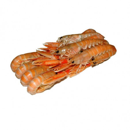 Scampi 8-12 Confezioni 500gr