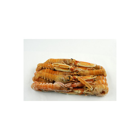 Scampi 17/20 Confezioni 500gr