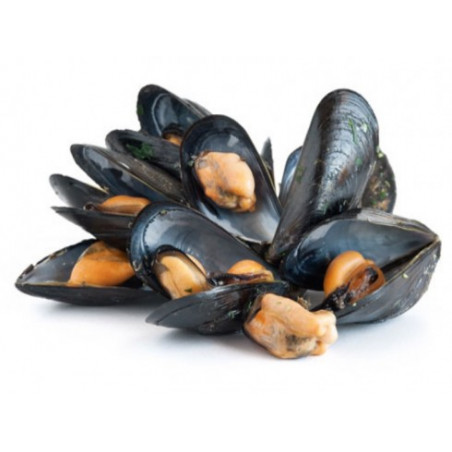 COZZE FRESCHE ITALIA